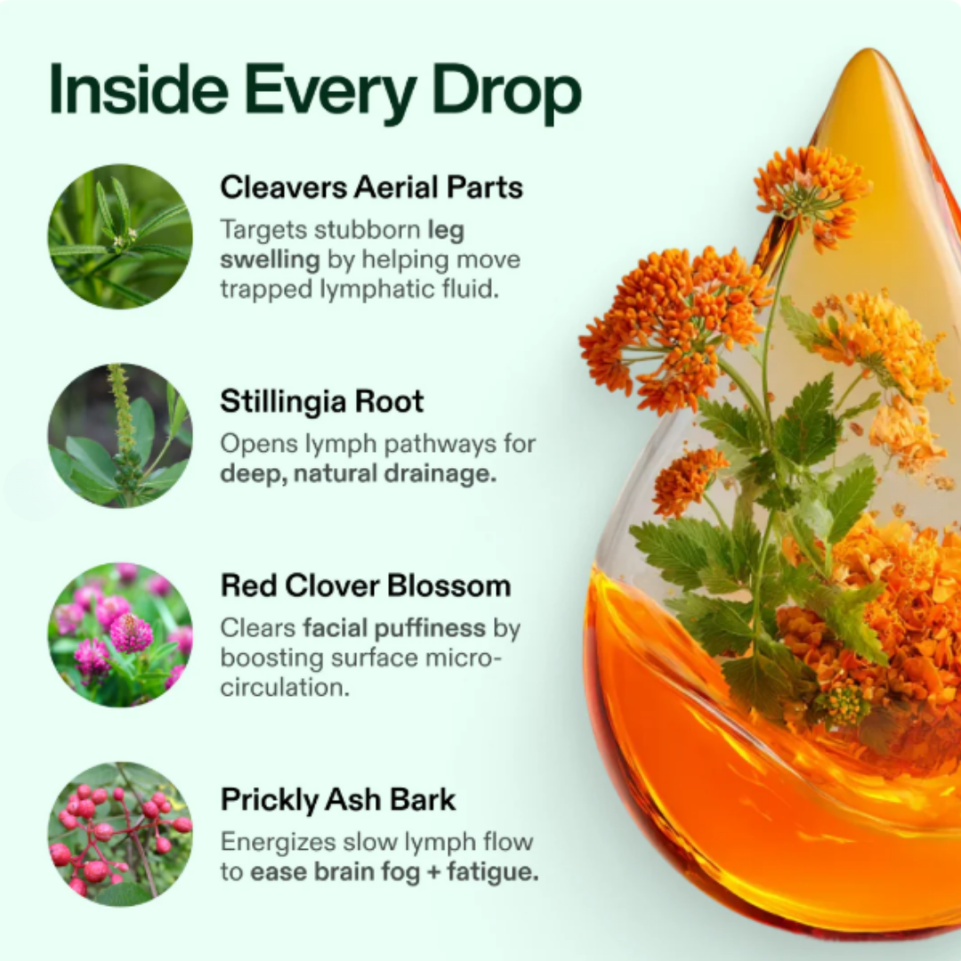 Lymphatic Drainage Wellness Drops
